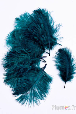 Struisvogel Bellies -8-13 cm - petrol